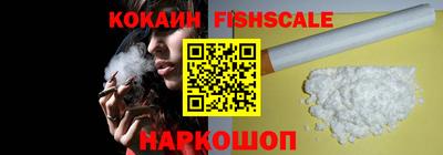 крисы Кулебаки