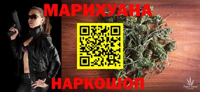 крисы Кулебаки