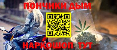крисы Кулебаки