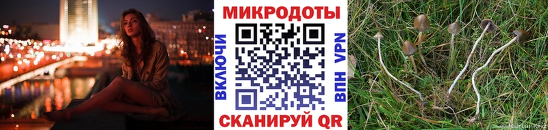 Псилоцибиновые грибы мухоморы  Кудрово 