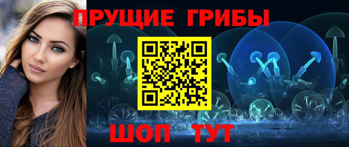 Псилоцибиновые грибы Cubensis Кудрово