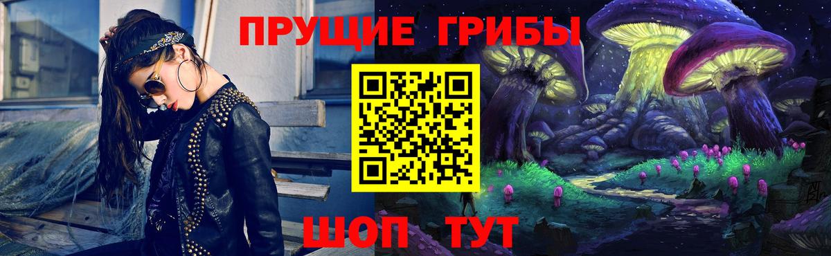где можно купить наркотик  Галлюциногенные грибы прущие грибы  Вход с VPN  Кудрово 